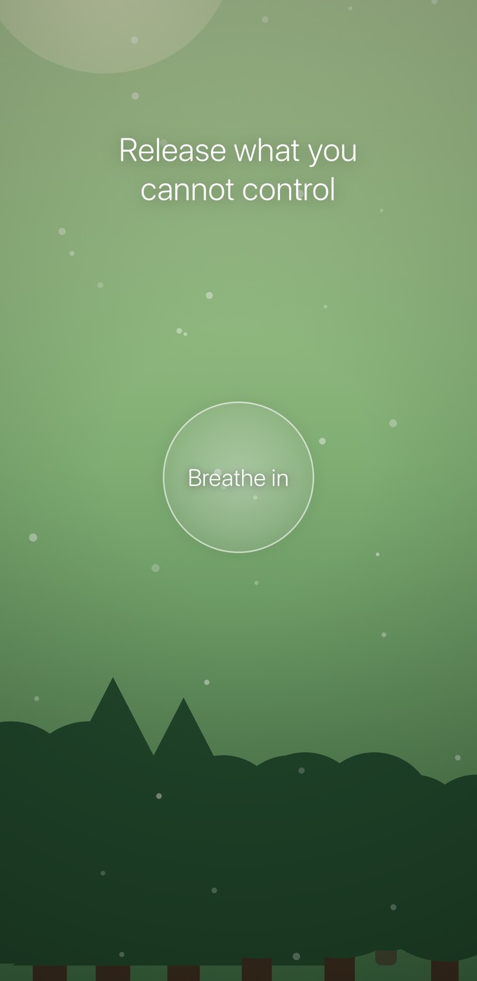 A quiet forest scene with the affirmation: release what you cannot control